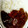 Saica0330's cooksnap of when they made 簡単おいしいトマト鍋♪.