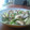 熊高ボート部コーチ's cooksnap of when they made 太刀魚の中華黒酢餡かけ.