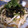 tomokoshiawase's cooksnap of when they made 長芋の海苔和え 64kcal.
