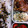 chococo218's cooksnap of when they made お弁当に♪ゆで卵のカレーマヨソース.