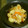 ミラゴン's cooksnap of when they made ☆旦那と子供が大好きなすいとんさん☆.