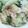 0かりん0's cooksnap of when they made 鮭とレタスのチャーハン♪.