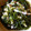 みーつん's cooksnap of when they made 常備菜　切り昆布の煮物.