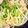 るびにゃん's cooksnap of when they made ベーコンと水菜のパスタ　～ゆず胡椒風味～.