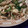 戦うコックサン's cooksnap of when they made プナピーと野菜炒め.