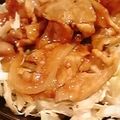 平野モコ's cooksnap of when they made 旨みたっぷり　スパイシーポーク丼.