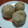kumama☆★☆'s cooksnap of when they made ちょっぴり洋風な栗きんとん.