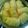 ★★まこ★★'s cooksnap of when they made ＊レンジでロール白菜＊.
