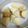 クックMYQM8M☆'s cooksnap of when they made 絶対煮崩れない！じゃがいもの裏技！.