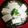 バウンド's cooksnap of when they made シャッキリ春菊のあんかけ豆腐ラーメン.