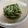 ナデシコ40's cooksnap of when they made いんげんのごまあえ.