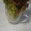 aizawaちゃぁ's cooksnap of when they made 簡単‼長持ち‼サニーレタスの保存法.