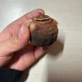 そこらの人's cooksnap of when they made 干し柿の作り方.