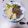めみたん☆'s cooksnap of when they made 簡単◎こんにゃくと高野豆腐の炊き合わせ.