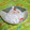 mmameco's cooksnap of when they made 大根消費！大根とかにかまのナムル風.