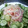 季節外れ's cooksnap of when they made もやしと胡瓜の冷やし中華風和え物.