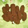 ひれまま's cooksnap of when they made ココア風味のちんすこう.
