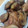 philo_coca's cooksnap of when they made 鶏と栗のさっぱり煮.