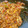 ペキのリリー's cooksnap of when they made おうちのミートソース.