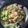 つんつん☆'s cooksnap of when they made 豚レタスの炒め物.
