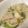kushirch's cooksnap of when they made ＊かぶと鮭の豆乳de和風クリーム煮＊.
