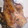 とれいら's cooksnap of when they made 魚にだって焼き肉のタレ活用!鯖の照り焼き.
