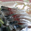 パンジ－'s cooksnap of when they made 実は簡単！しめ鯖♪.