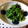 豆トマ's cooksnap of when they made ＠ほうれん草のふりかけ風.