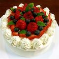 はこりん's cooksnap of when they made ２０１１クリスマスケーキ♪.