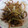 nyon125's cooksnap of when they made 大根の皮の炒り煮（佃煮風）.