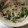 黒こっぺ's cooksnap of when they made 大葉ともやしのゆかり和え.