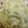 ニャーコ♪'s cooksnap of when they made *＊ピクルスなしの和風タルタルソース*＊.
