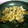 くるちゃーん's cooksnap of when they made やわらか～☆豚肉のとろろんしょうが焼き☆.