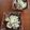 クックD6KVC7☆'s cooksnap of when they made ゴーヤのマヨサラダ。タマネギとツナ入り.