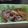 明日歩's cooksnap of when they made 大根と牛肉の中華風ピリ辛炒め煮.