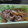 明日歩's cooksnap of when they made 大根と牛肉の中華風ピリ辛炒め煮.