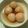 みほパパ's cooksnap of when they made あと１品に☆こいものたいたん・しっかり味.