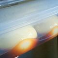 ふくろや管理人's cooksnap of when they made 超簡単！味付け玉子.