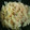 フサギンポ's cooksnap of when they made じゃが芋の明太マヨバター炒め☆.