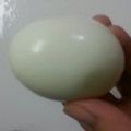 ぽり公's cooksnap of when they made 簡単、確実、省エネ　ゆで卵.