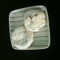 hikajiri's cooksnap of when they made 大福.