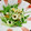 ＲiＫo's cooksnap of when they made 白焼きちくわと水菜のサラダ.
