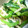プチあや's cooksnap of when they made ✿ほうれん草と切り干し大根のゴマ和え✿.