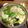 erimilo's cooksnap of when they made 鶏味塩 de 濃厚鶏だしの鶏鍋.