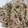 ２児のおかん★'s cooksnap of when they made 無限もやし.