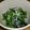 ごげじゃばる's cooksnap of when they made 【クレソンレシピ】しらす和え.