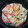 SAKISAKING's cooksnap of when they made ☆もやしと豚肉の蒸し焼き☆簡単美味しい!.