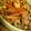 ciromismo's cooksnap of when they made デパ地下風キンピラごぼう.