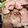 5884ita's cooksnap of when they made 超簡単★豚モモ肉のローストポーク.
