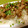 唄子62's cooksnap of when they made 豚肉で簡単☆焼き豚風☆醤油炒め♪.